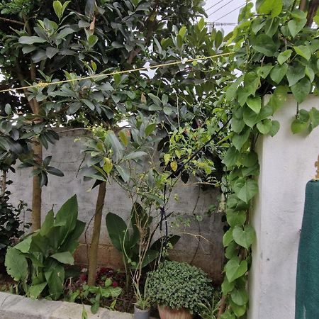 Malgudi Mane Homestay Chikmagalūr Екстериор снимка