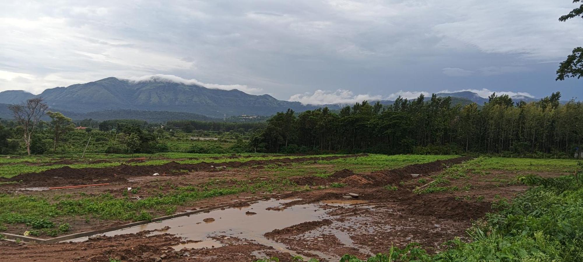 Malgudi Mane Homestay Chikmagalūr Екстериор снимка