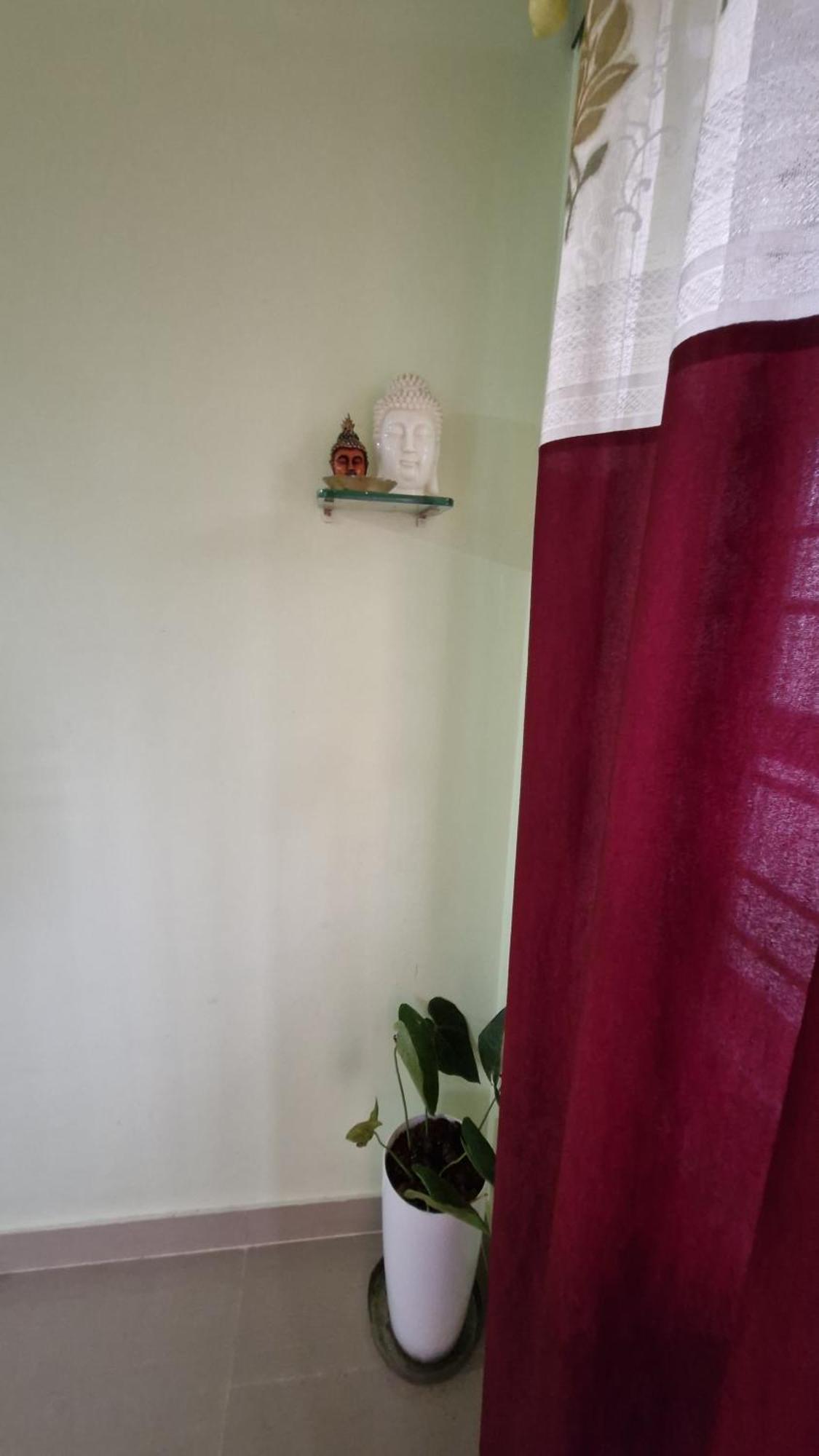 Malgudi Mane Homestay Chikmagalūr Екстериор снимка