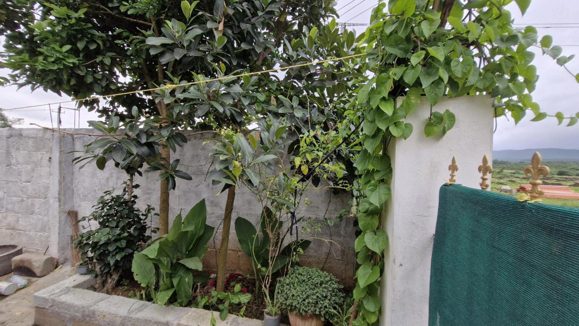 Malgudi Mane Homestay Chikmagalūr Екстериор снимка