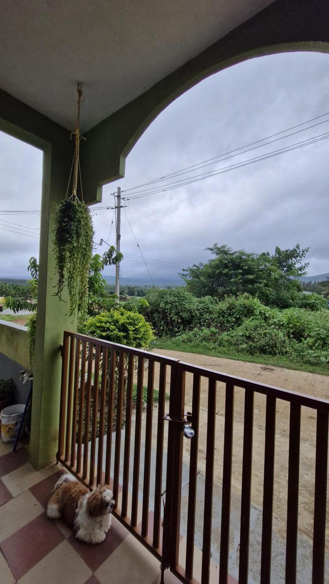 Malgudi Mane Homestay Chikmagalūr Екстериор снимка