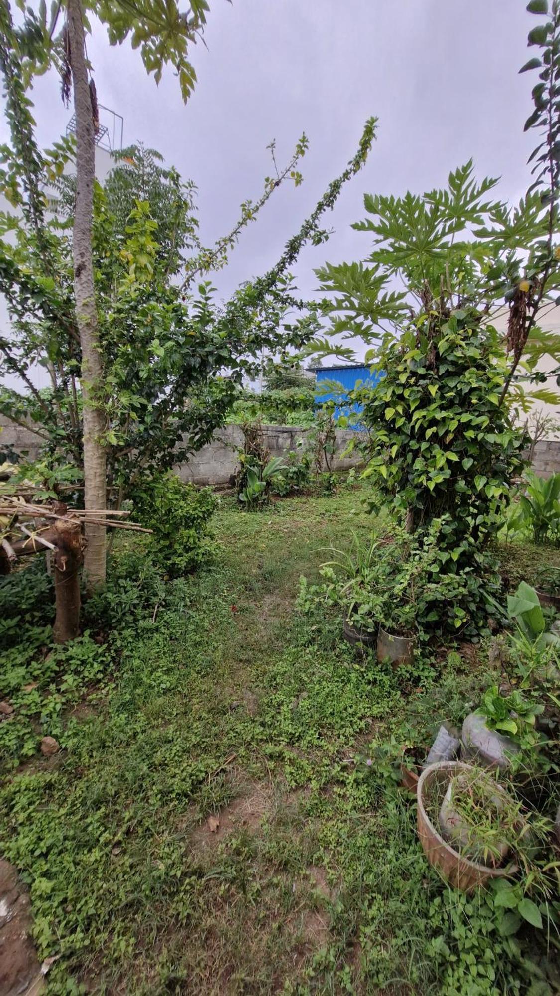 Malgudi Mane Homestay Chikmagalūr Екстериор снимка